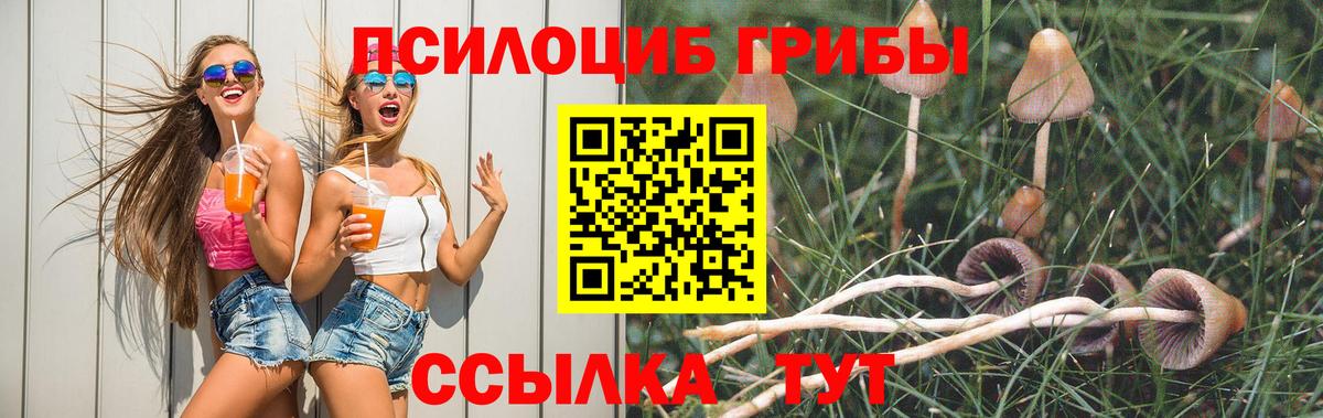 Псилоцибиновые грибы мицелий Нефтеюганск