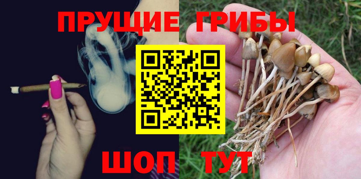 Галлюциногенные грибы Psilocybine cubensis  Вход с VPN  Нефтеюганск 